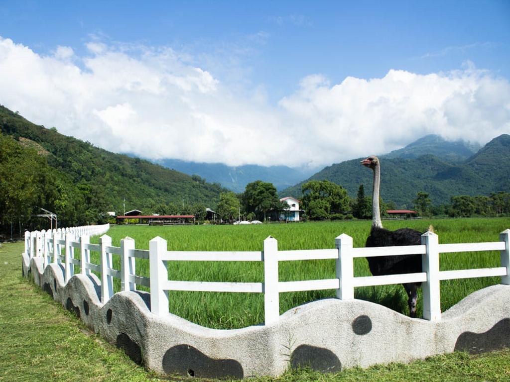 Lin Tea B&B Ruisui Phòng bức ảnh