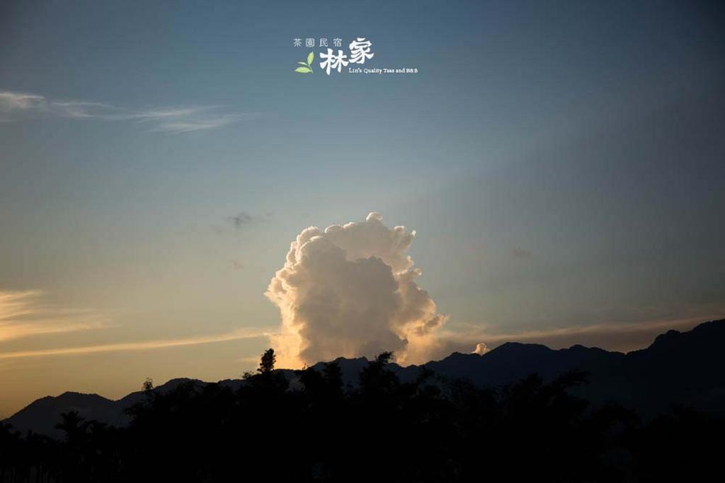 Lin Tea B&B Ruisui Ngoại thất bức ảnh